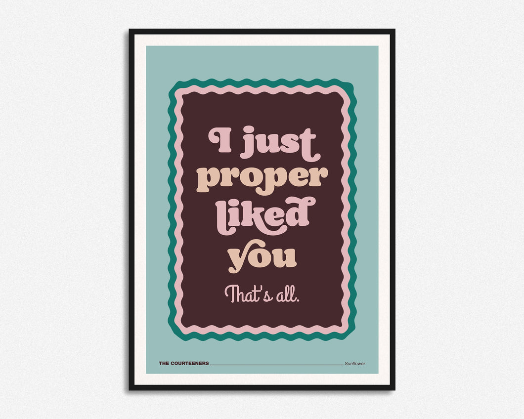 SECONDS SALE I Just Proper Liked You Print