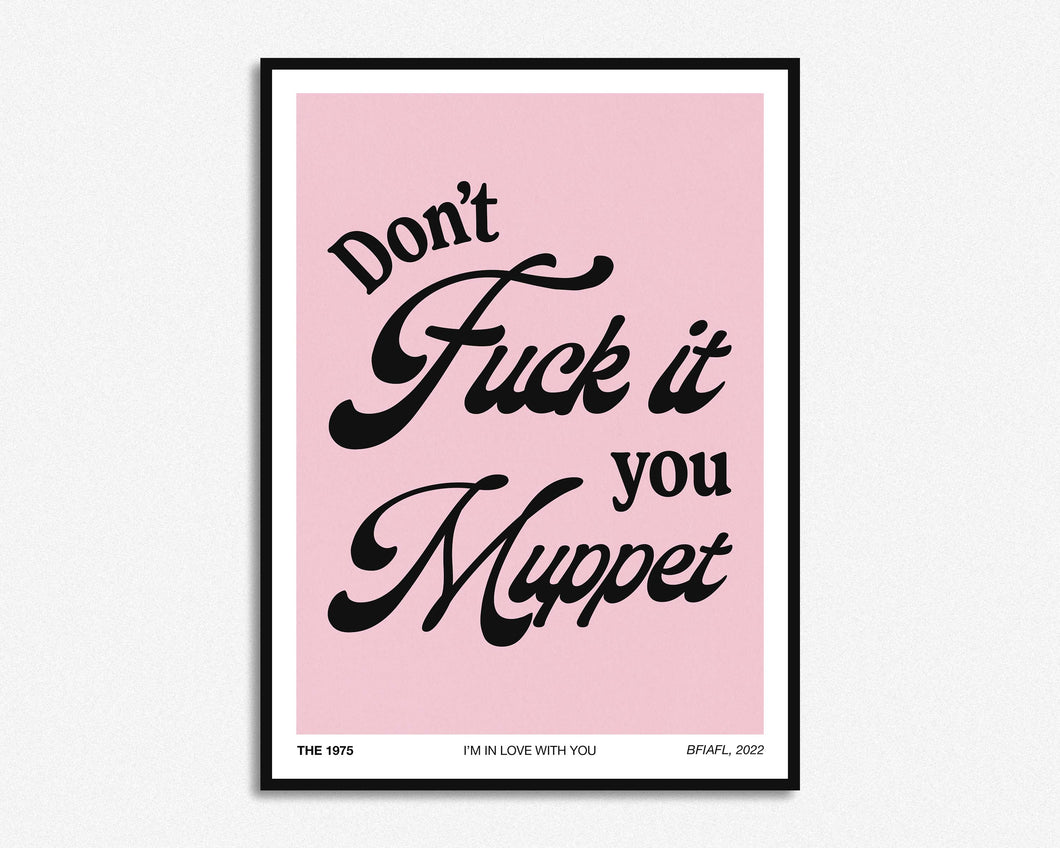 Don't Fuck It You Muppet Lyrics Print