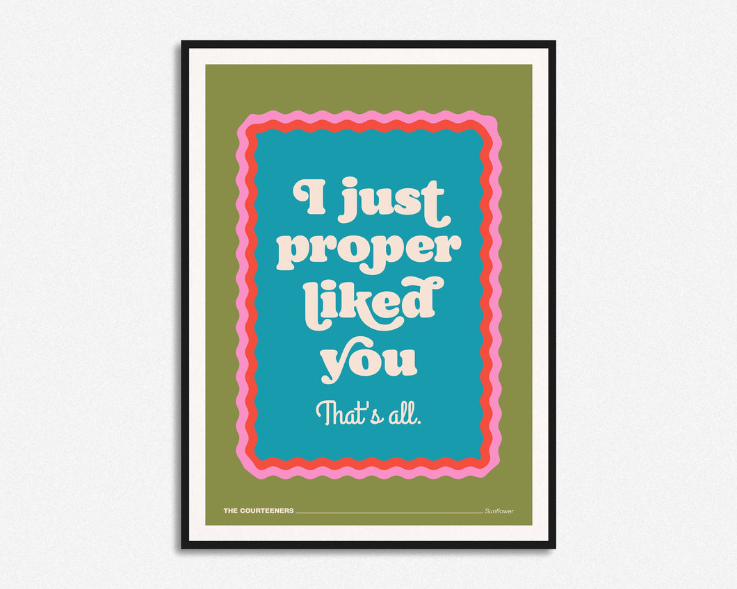 I Just Proper Liked You Print